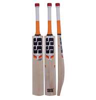SS Premium T20 Kashmir Willow Cricket Bat, Size 3 (Multicolour), Wood