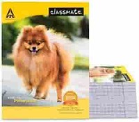Coupon - Classmate Notebook - Single Line, 172 Pages, 190 mm x 155 mm - Pack Of 5