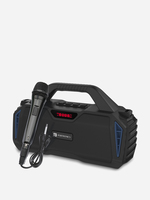 Lowest -  Portronics Chime 20W TWS Wireless Bluetooth Speaker with Wired Karaoke Mic