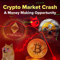 Crypto Market Crash : Is Crypto Crash a Money Making Opportunity?