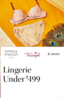 Women's Innerwear under Rs.499 by brands like Zivame,Jockey,etc