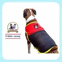 Kitty & The Woof Gang Black Velvet Dress Embellished with a Beautiful Patch | A Must for Parties and Functions | A Must for Fashionable Dog, Cat & Puppies | Size L