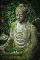 Home decor wallpapers @ rs. 99