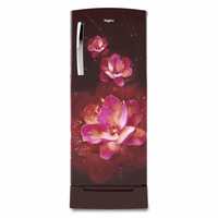 Whirlpool 245 L 4 Star 2020 Inverter Direct-Cool Single Door Refrigerator with Adaptive cooling technology(260 IMPRO PLUS ROY 4S INV WINE FLUME, Wine Flume)