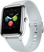 {Prepaid} Noise ColorFit Pro 2 Full Touch Control Smart Watch (Mist Grey)