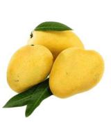 Swiggy-Instamart - 2 Safeda Mangoes at Rs.53  May be Price error (Available Delhi - 110034)