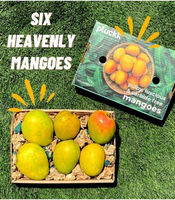 Buy vegetables worth Rs 299 & Get 6pc Alphonso mango box free (Select Mumbai & Bangalore locations)