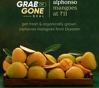 Alphonso Mangoes at Rs. 11 - Cred (27th April - 8 PM)