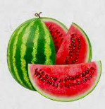 Watermelon Medium @Rs.3/piece (Location Specific)