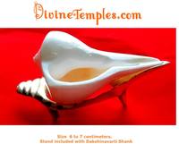  Dakshinavarti Shankh with Stand (White) [65% Coupon]