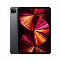 2021 Apple iPad Pro with Apple M1 chip (11-inch/27.96 cm, Wi-Fi + Cellular, 2TB) - Space Grey (3rd Generation)