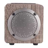 R PLUSS RP-038 Boom Wireless SPEKAER