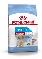 Pet supplies upto 40% off