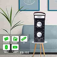 Foxsky FS102 10 Watt 2.0 Channel (Black)