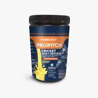 Proburst Propitch Whey Protein (400 gm) | For Cricketers  (Pineapple)