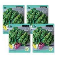 Classmate Notebook - Single Line, 120 Pages, 240 mm x 180 mm - Pack Of 4