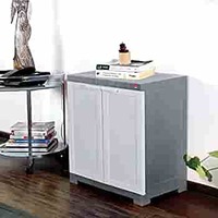 Cello Novelty Compact Plastic 2 Door Cupboard with Shelf(White and Grey)