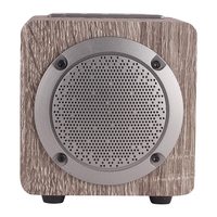 RPLUSS RP-038 Boom Wireless Computer Speaker, Multicolor