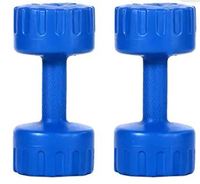 SPORTO FITNESS PVC Dumbbell 4 Kg (2Kg X 2), Blue (Blue DUMBBELL2X2)