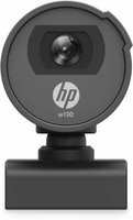 HP w100 Webcam  (Black)