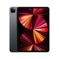 2021 Apple iPad Pro with Apple M1 chip (11-inch/27.96 cm, Wi-Fi + Cellular, 1TB) - Space Grey (3rd Generation)