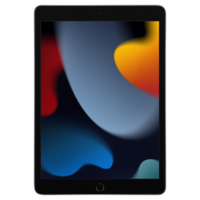 Apple iPad WiFi iOS Tablet (iPadOS 15, Apple A13 Bionic Chip, 25.91cm (10.2 Inches), 256GB ROM, MK2N3HN/A, Space Grey)  