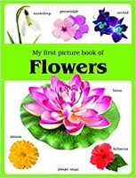 My first picture book of Flowers: Picture Books for Children Paperback – 1 February 2019