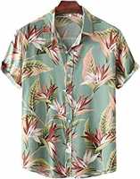 upto 74% off Men Shirt