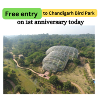 Free entry to Chandigarh Bird Park (Only today 16th November 2022)