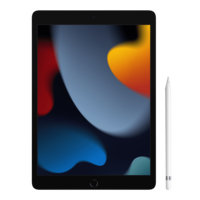 Apple iPad 9th Generation Wifi (10.2 Inch, 64GB ROM, Space Grey, 2021 model)