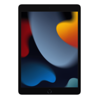 Apple iPad 9th Generation Wifi (10.2 Inch, 64GB ROM, Space Grey, 2021 model)