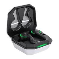 Fire-Boltt Fire Pods Ninja 601 wireless earbuds with ANC and ENC mode, 10mm drivers, 24-hour playtime