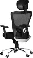 Da URBAN Galaxy High Back Mesh | Office / Home | 2D Headrest | With Lumbar Support | Mesh Office Adjustable Arm Chair 