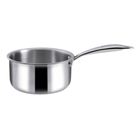 Wonderchef Nigella Sauce Pan (Stainless Steel Body, 63153404, Silver)


