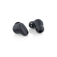 Blaupunkt BTW09 Hybrid ANC Moksha Earbuds with 35dB