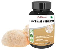 Lion's Mane Mushroom 60 Capsule