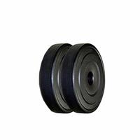 Protoner SP10X2 Spare Weight Lifting Plates 10 kg x 2