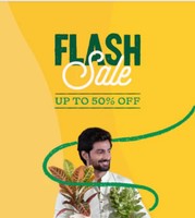 Ugaoo  : Flash Sale : Flat  50% Off 