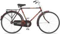 LEADER Bheem 26T Mens Road Cycle with Carrier 26 T Road Cycle (Single Speed, Red)