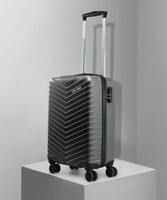 Stony brook by Nasher miles Trolly bags up to 85% off