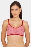 Zivame :Flash Sale - Flat 70% Off + Free Shipping 