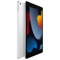 Apple iPad 9th Generation Wi-Fi (10.2 Inch, 256GB, Silver, 2021 model)

