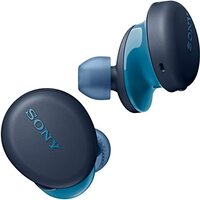 Sony WF-XB700 Bluetooth Truly Wireless in Ear Earbuds with Mic