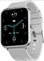 Fire-Boltt Ninja Call Pro Smart Watch Dual Chip Bluetooth Calling AI Voice Assistance