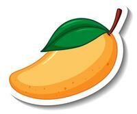 Big Basket Contest: Guess the King of Mangoes