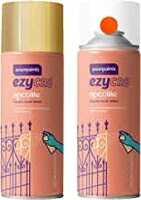 Asian Paints Spray Paint from ₹99