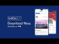 Indigo Rs.1000 Off on Flight Booking 