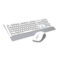 Lapcare Smartoo Wireless Keyboard & Mouse Combo (1200 DPI, Auto Sleep Function, White/Silver)