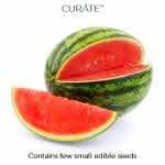 Watermelon Seedless Large Premium Indian 1 Pc (Approx 3.00 kg - 4.00 kg)


