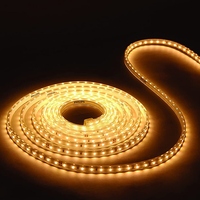 Philips FlexiShine LED Rope Light  